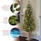 4ft. Pre-Lit Montclair Spruce Entrance Artificial Christmas Tree with Clear Lights